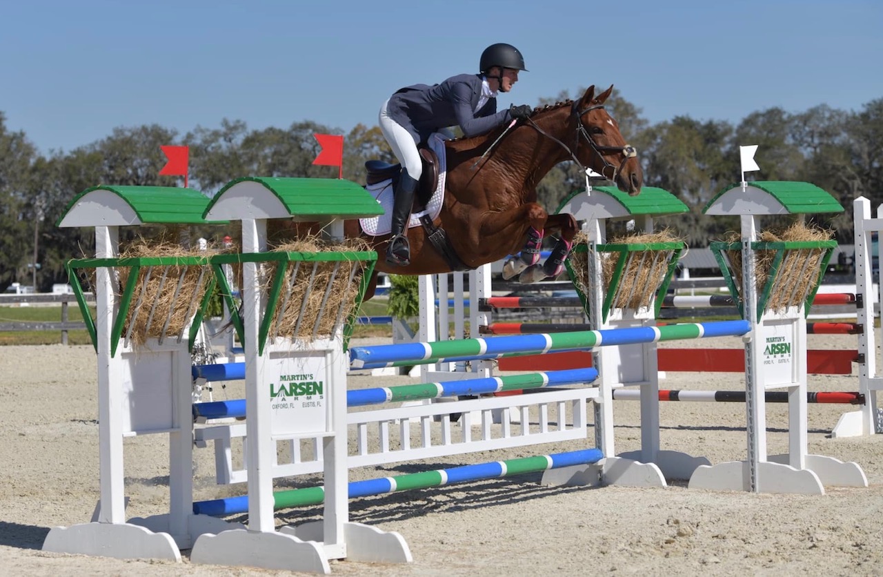 Sixth slide: Horse clearing bar obstacle